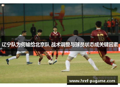 辽宁队为何输给北京队 战术调整与球员状态成关键因素