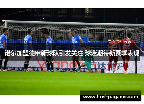 诺尔加盟德甲新球队引发关注 球迷期待新赛季表现